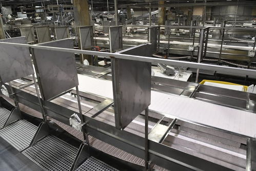 疫情為何在美國肉類加工廠中肆虐