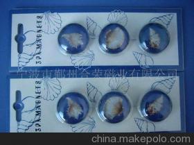 【供應(yīng)磁性產(chǎn)品、磁性文具、磁性材料(圖)】價(jià)格,廠家,圖片,永磁材料,寧波合榮磁業(yè)-